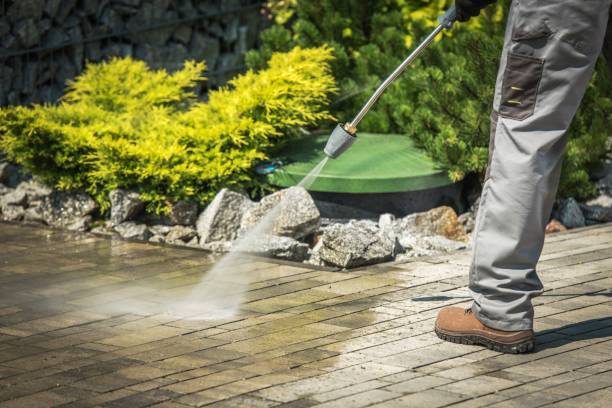 Best Restaurant Pressure Washing  in Ojus, FL