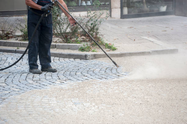 Best Patio and Deck Pressure Washing  in Ojus, FL