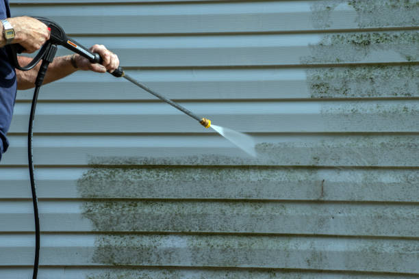 Best Pool Deck Cleaning  in Ojus, FL